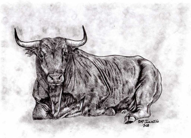 Toro acostado 2 