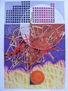 cosmos 56