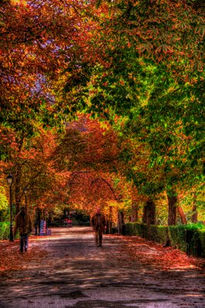 Paseo por el retiro