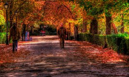 EL RETIRO