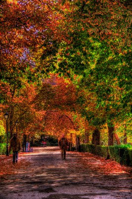 PASEO POR EL RETIRO Naturaleza Técnicas alternativas