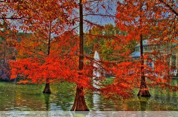 arboles y agua Naturaleza Técnicas alternativas