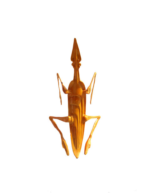 Mantis