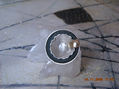 anillo