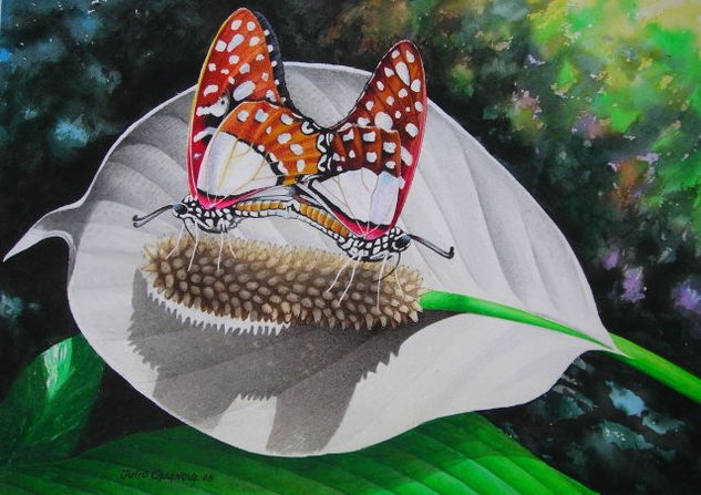 mariposas Watercolour Paper Landscaping