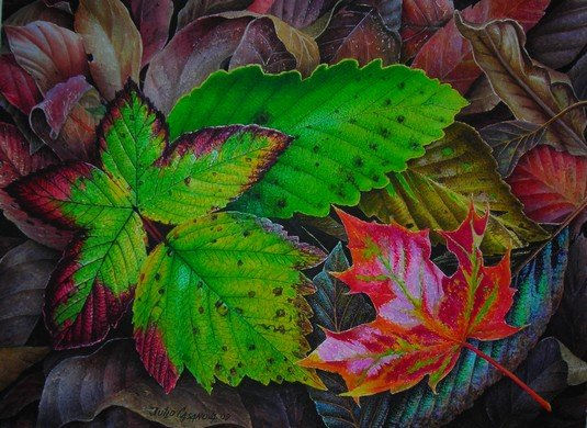 otoño Watercolour Paper Others