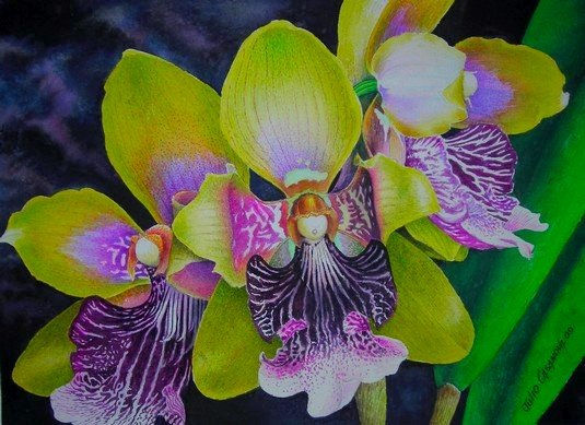 odontoglosum (orquidea) Watercolour Paper Floral Painting