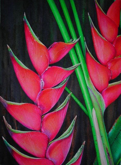 heliconia Watercolour Paper Floral Painting