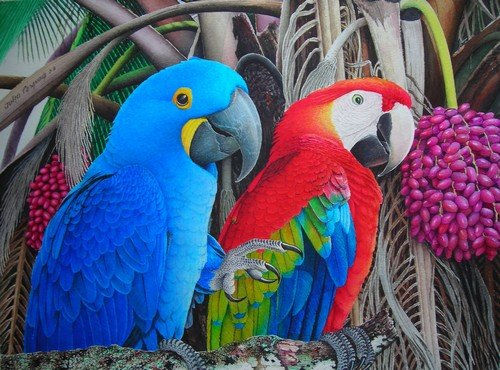 guacamayas Watercolour Paper Landscaping