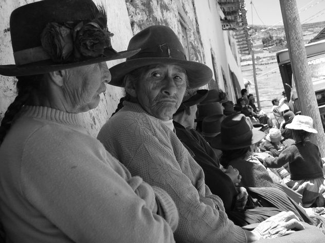curioseante