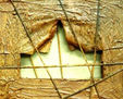 Ataduras 5