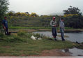 foto,  pesca  en  el  arroyo