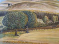 paisaje costero