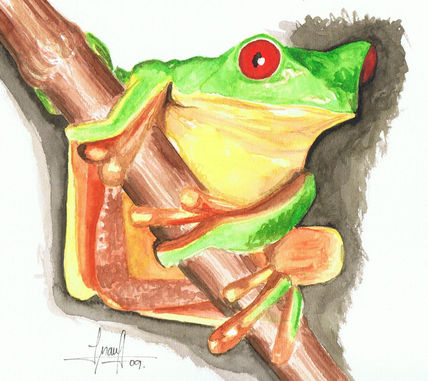 Rana Colombiana