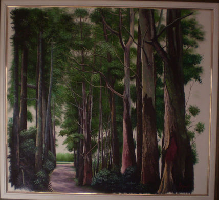 Bosque de Nogales...