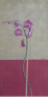 Orquidea I