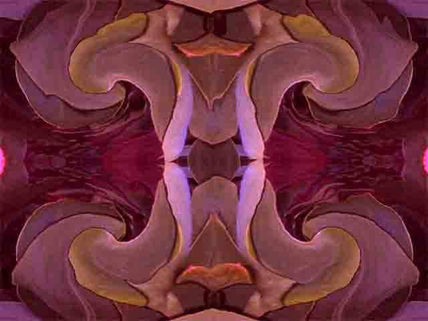 Violeta y oro