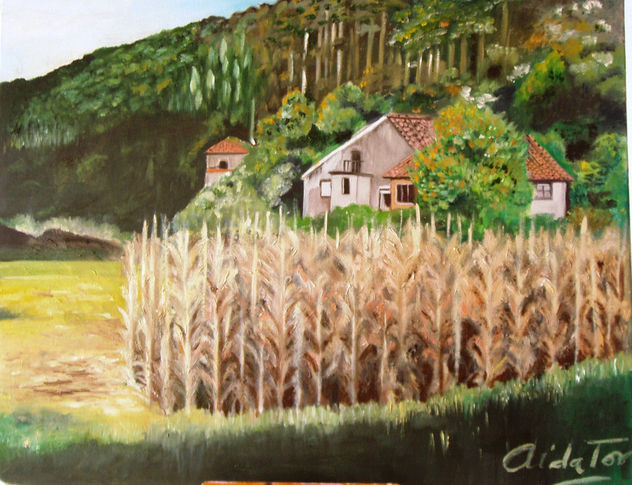 Hazas de Cesto (desde el jardin)