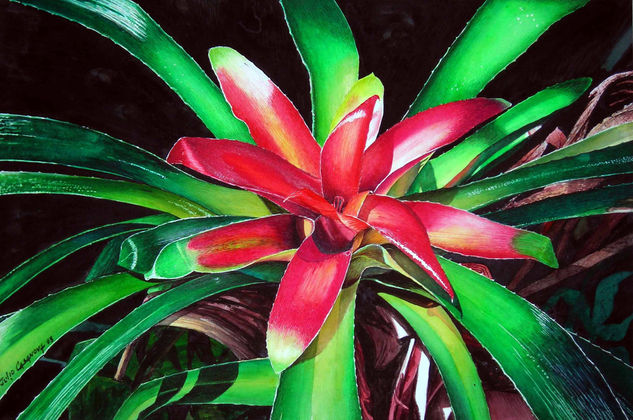 bromelia Watercolour Paper Floral Painting