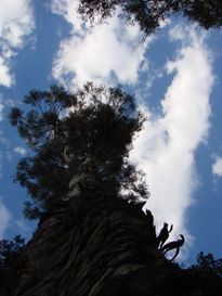 Escalera al cielo