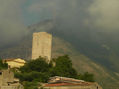 maranola