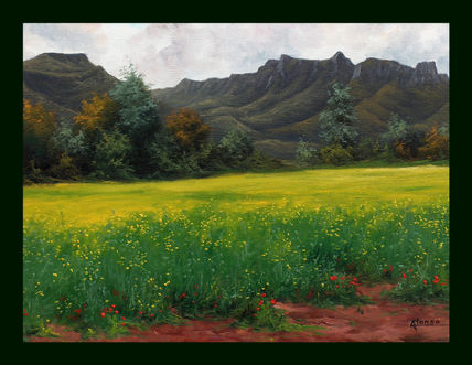 Primavera en la vall