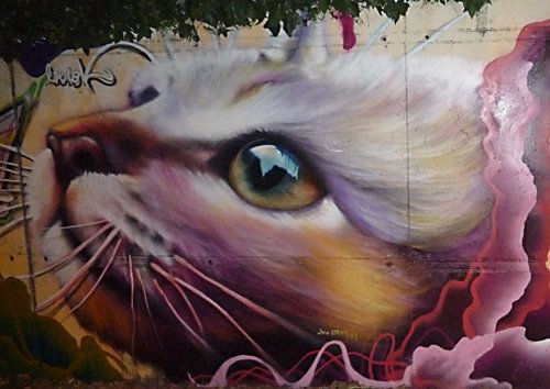 Graffiti mural de Gato en Mataro 