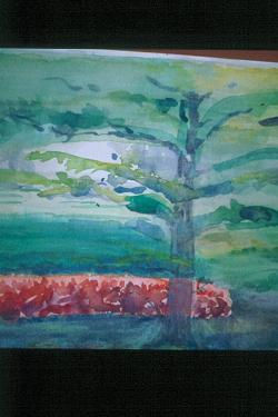 jardin Can Joliu Watercolour Paper