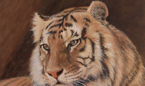 Cuadros inspirados en Africa y animales salvajes