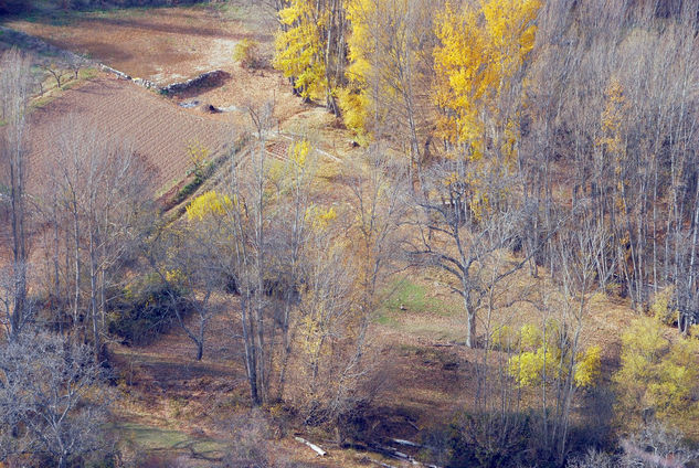 Hoz de Pelegrina (Guadalajara) 