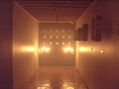 danza macabra sala interior 2
