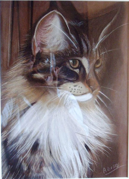 Lince