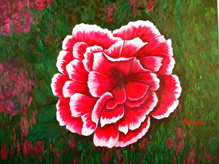 Azalea