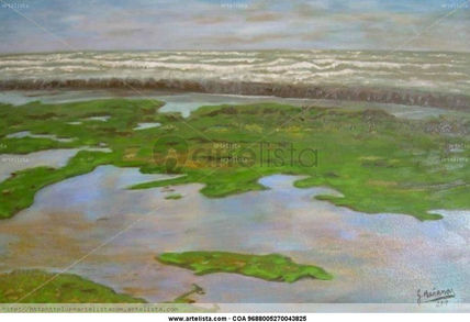 Marea baja en los...