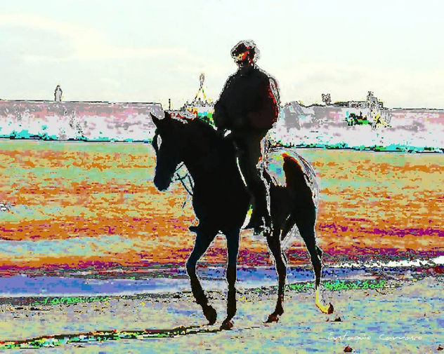 Jinete y caballo paseando por la playa de Valencia
