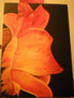 Naranja en flor