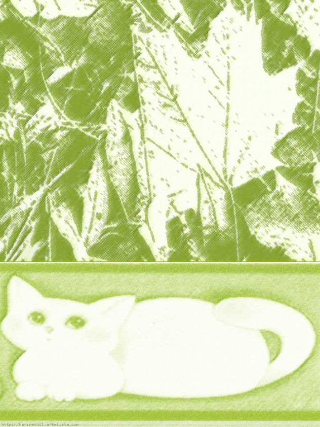 gato perdido en el bosque