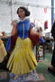 CARROZAS DE FERIA