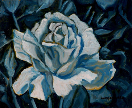 Rosa azul ix.