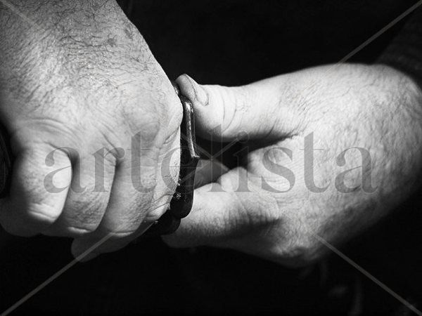 Bujinkan Dojo