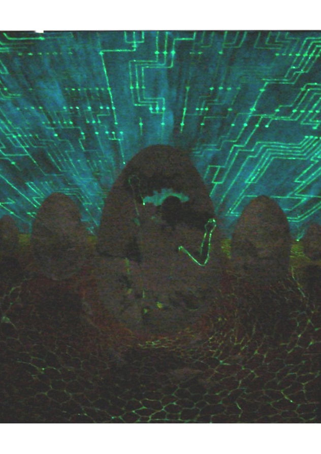 El Despertar del Homo Cyberneticus (foto a oscuras)