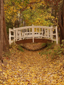 Otoño puente