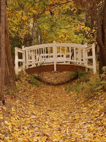 Otoño puente 