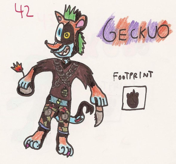 geckuo 