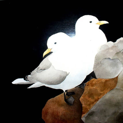 Gaviotas