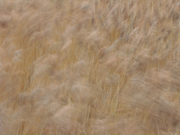 Viento 