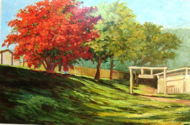 Area de Lazer - Primavera