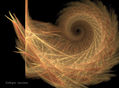 La espiral de Damuxeniop