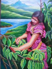 India Guaymi