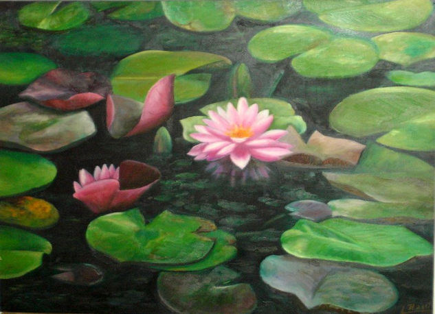 Nenufares Oil Panel Floral Painting